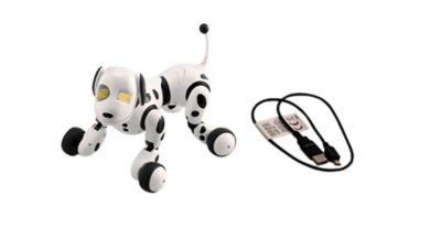Takara Tomy Hello Zoomer